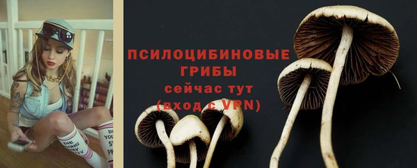 марки nbome Заводоуковск