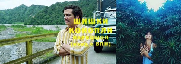гашик Заволжье