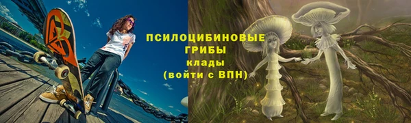 марки nbome Заводоуковск