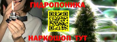 a pvp Славянск-на-Кубани