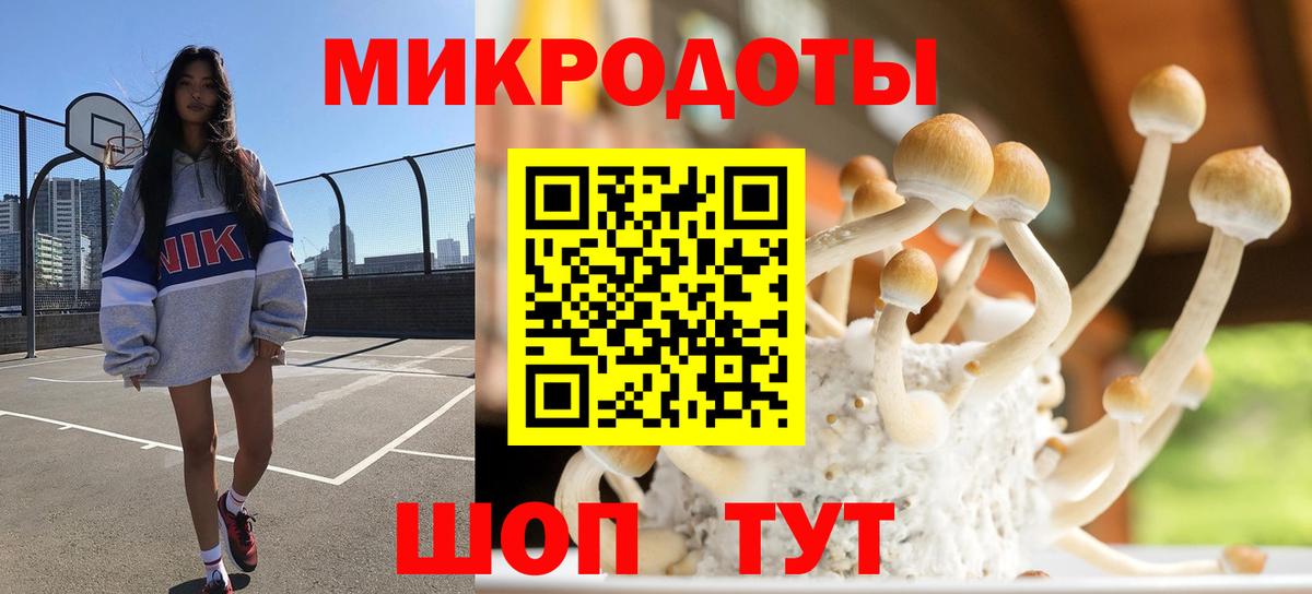 Псилоцибиновые грибы Psilocybine cubensis  Вход с VPN  Псилоцибиновые грибы мухоморы  Сорочинск 